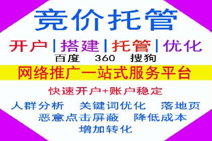 揭秘sem竞价代运营的成功要素及案例